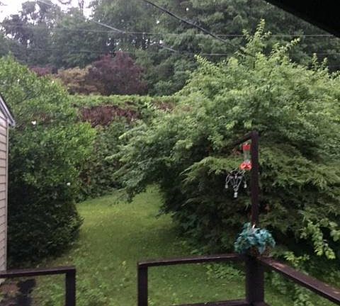 Outside yard