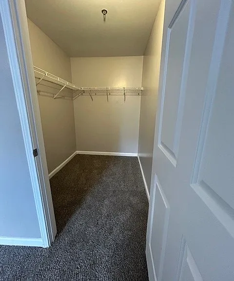 Master Walk in Closet