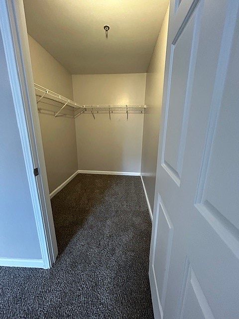 Master Walk in Closet