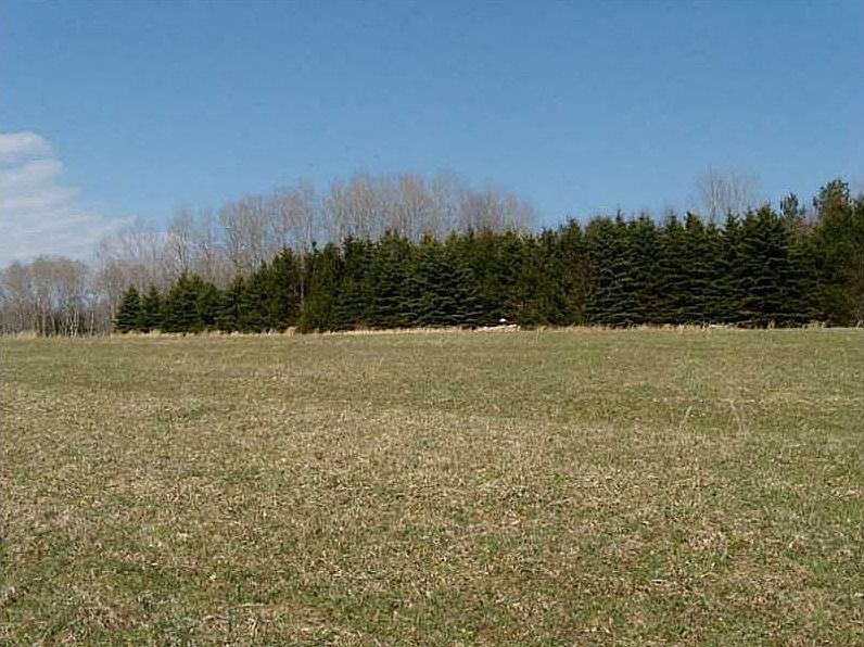 1st image of 410 Homestead Ln