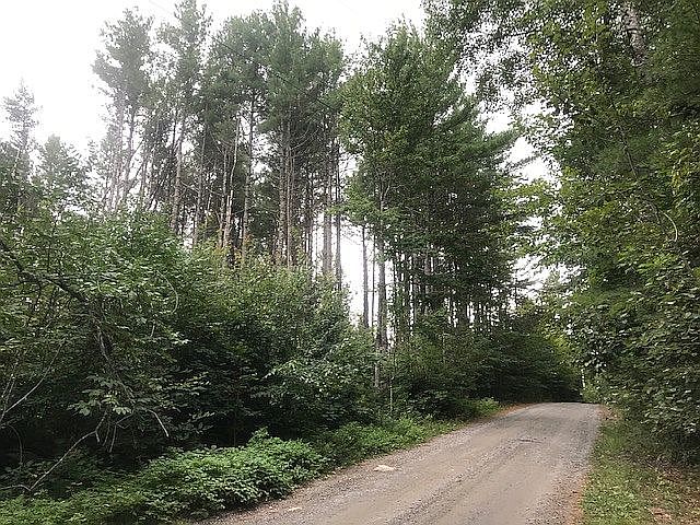 2nd image of Wards Rd