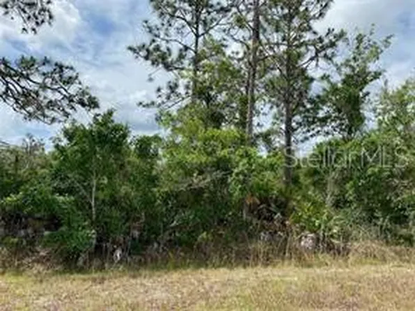 Sheldon St, St Unit, FL 32833