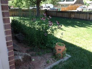 Front from side yard