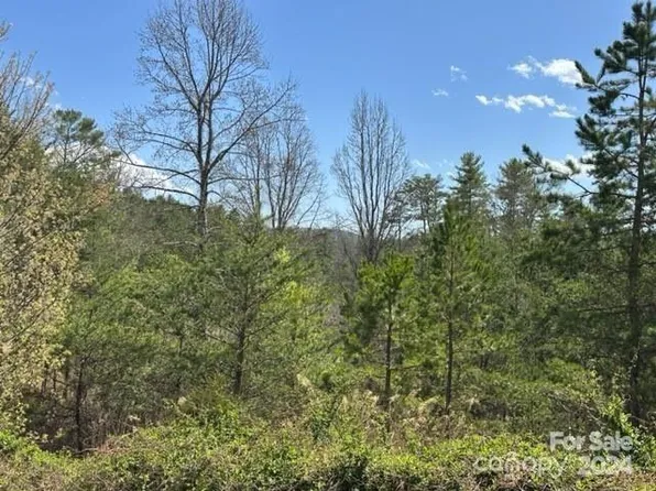 78 Homestead Ridge Rd, Weaverville, NC 28787