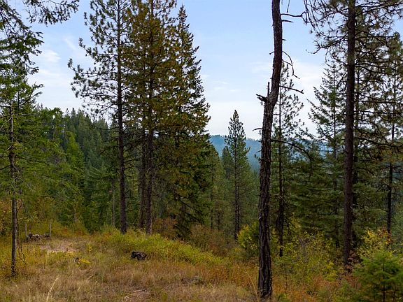 4th image of 4450 Buck Creek Rd