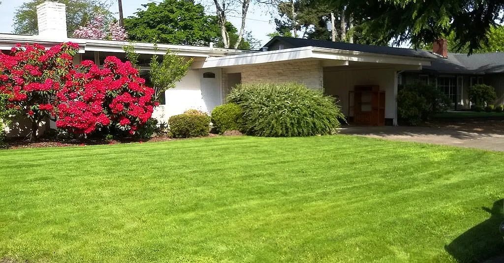 2 bed, 900 sqft, $1,625 — Photo 2
