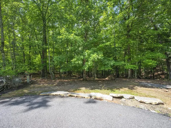 19 Gibbs Point, Mineral Bluff, GA 30559