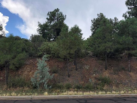 4th image of 1549 Scotch Pine Dr