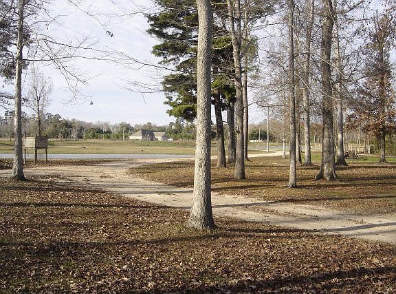 2nd image of 52 Shady Oak Ln
