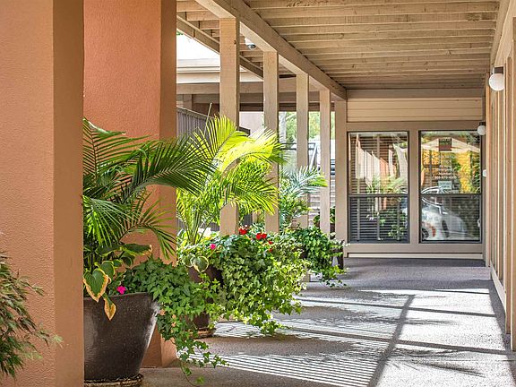 2nd image of 941 Calle Mejia APT 312