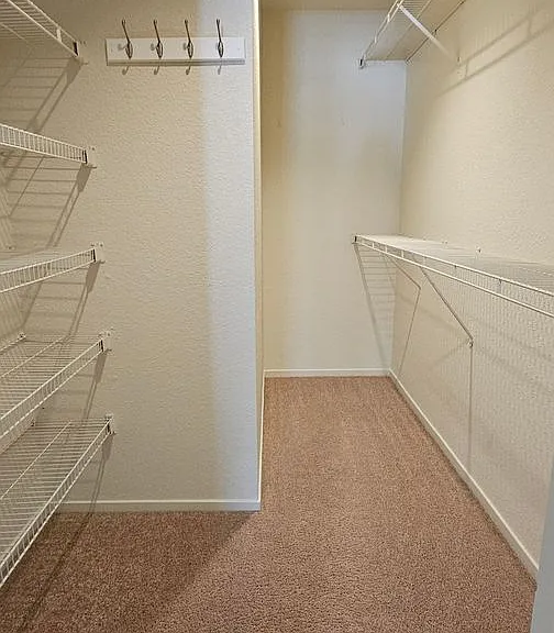 3101 Chubasco Way — Photo 10