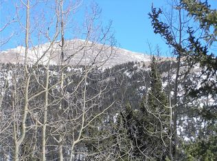 1287 Quartzville Rd, Alma, CO 80420