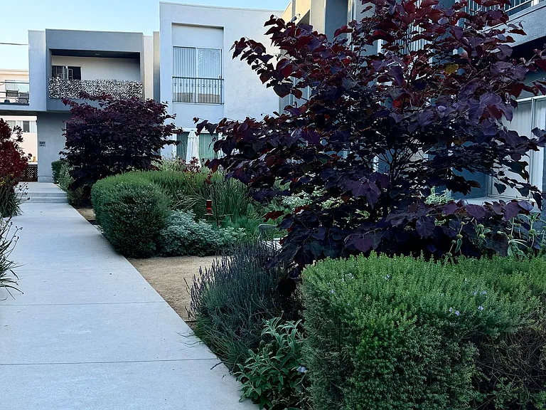 4617 Willis — Photo 3