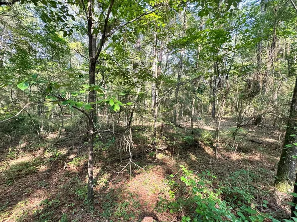 175th Dr Lot 9, Live Oak, FL 32060