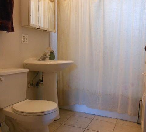 5th image of 2743 N Central Park Ave APT 1R