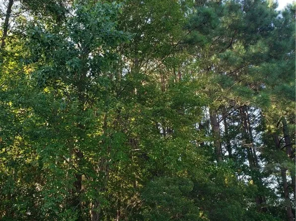 0 Guinea Rd, Hayes, VA 23072