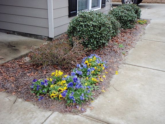 2nd image of 226 Lee Road 2086