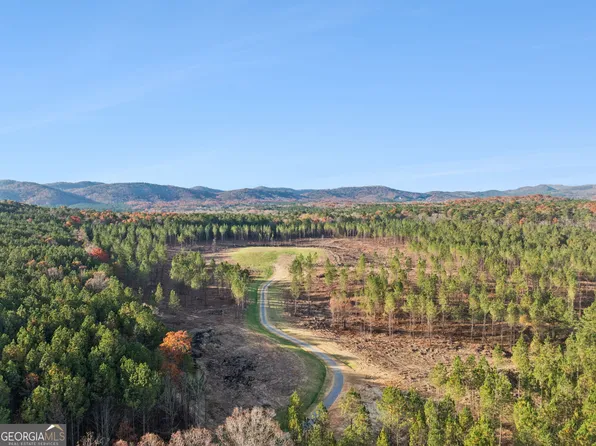 0 Ben Mosley Cir, Summerville, GA 30747