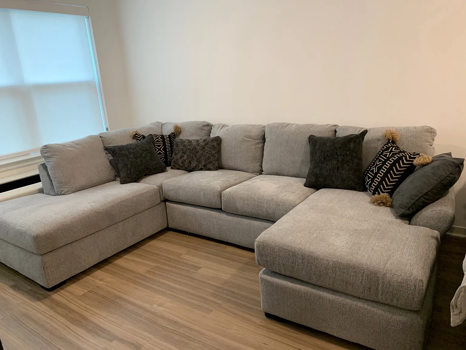 2 bed, 1000 sqft, $1,700 — Photo 4