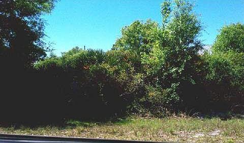 2nd image of 1602 Pinetop Ter