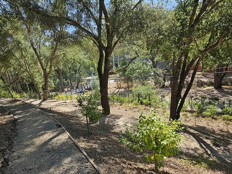 Bonnie Brae Ln — Photo 15