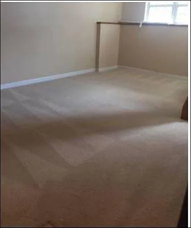 Finished basement
