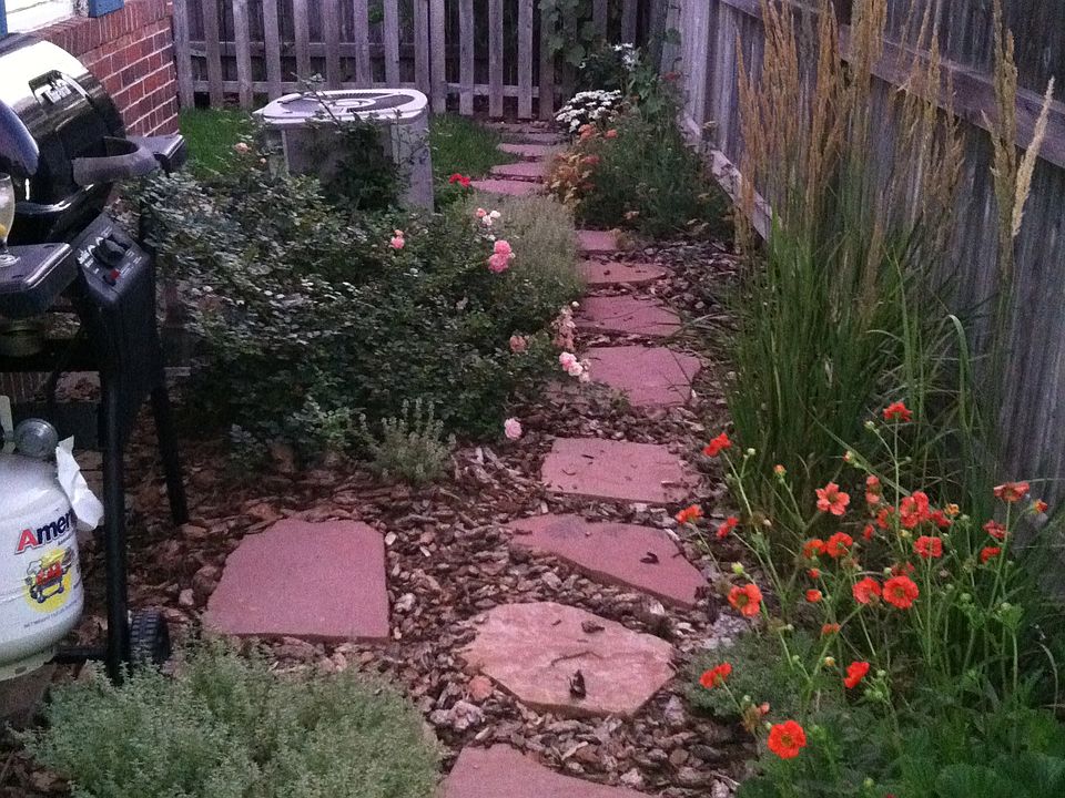 Summertime side yard