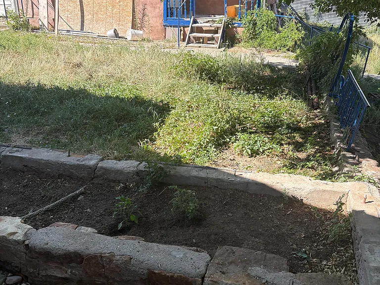 Area for planting