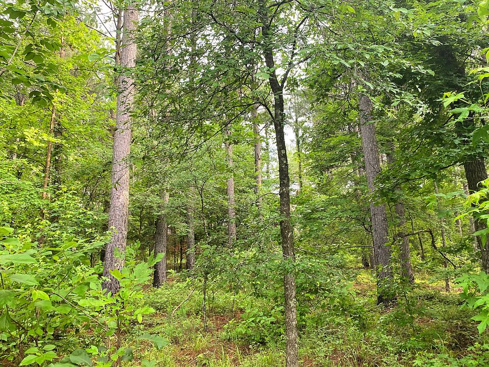 1st image of 209 Eagle Pine Ln