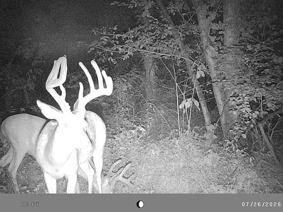 4th image of 1575 Fair City Rd