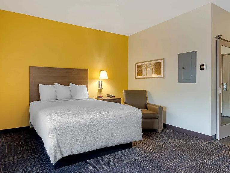 Studio Suite - 1 Queen Bed