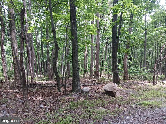 5th image of 6 Wild Apple Ln