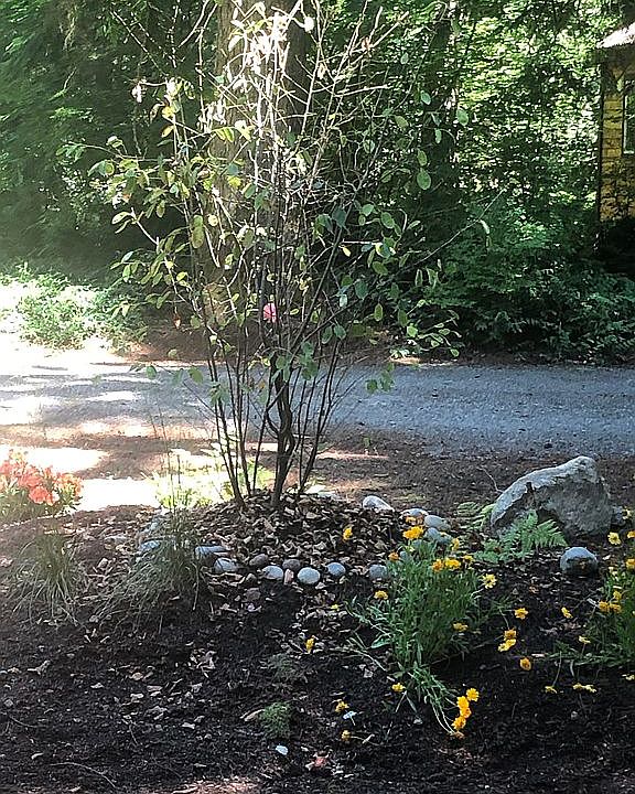 1st image of 15028 253rd Ave SE