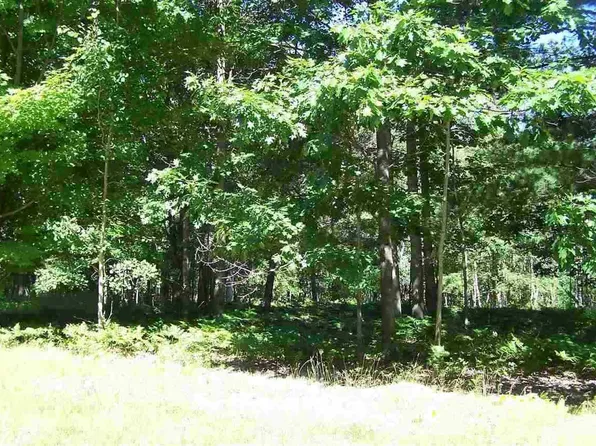 5807 Huron Woods Dr, Tawas City, MI 48763