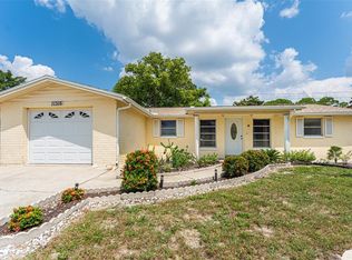 11316 Yellowwood Ln, Port Richey, FL 34668