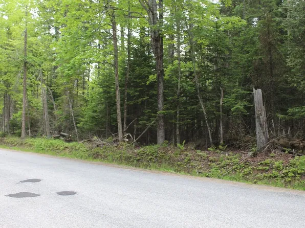 124 Fred Gay Rd, Indian Lake, NY 12842