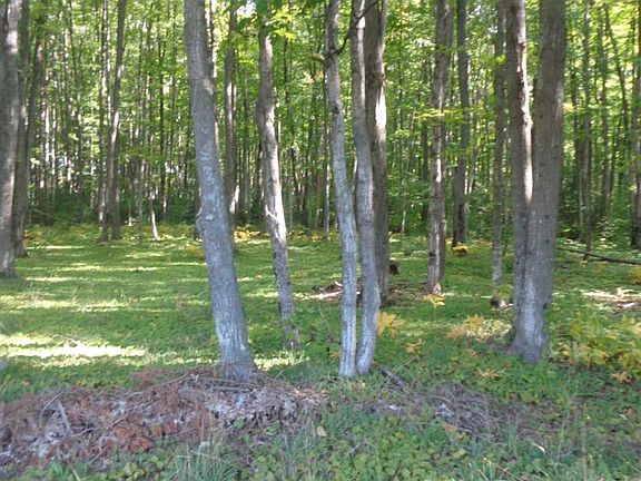 3rd image of 4390 County Road 397