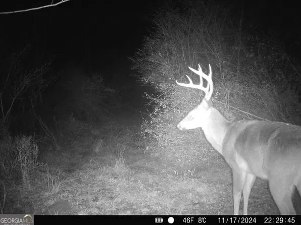 0 Seven Islands Rd, Madison, GA 30650