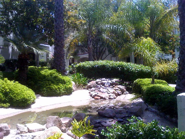 Community Pool/Spa — Photo 2