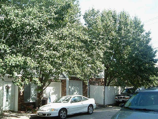 1st image of 105 Wirt Ave