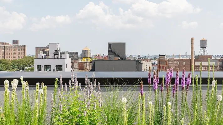 Rented by Nooklyn NYC LLC | media 81