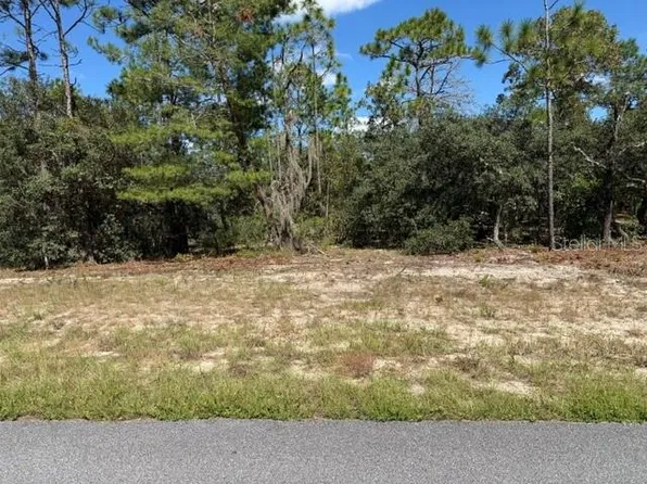 3039 W NAEGELIA PLACE LOT 8, CITRUS SPRINGS, FL 34433