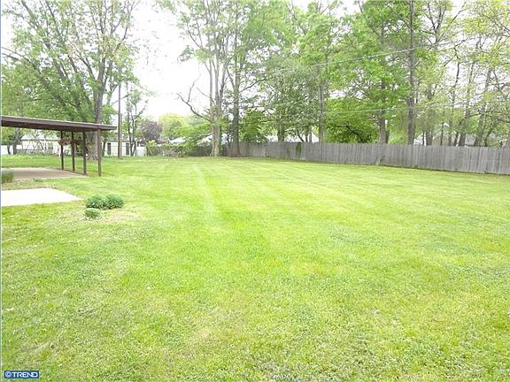 Summer Backyard View