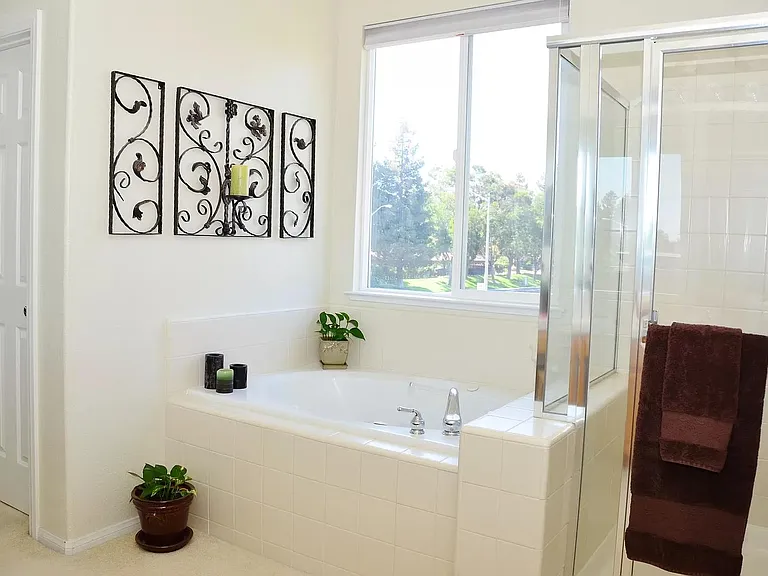 Primary Suite Jetted Tub and Standing Shower