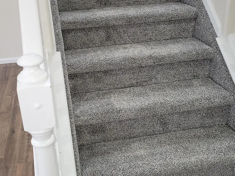Beautiful New Carpet Installed