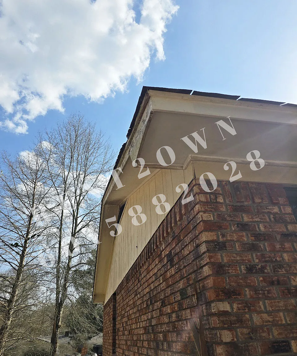 3 bed, 1573 sqft, $1,095 — Photo 2