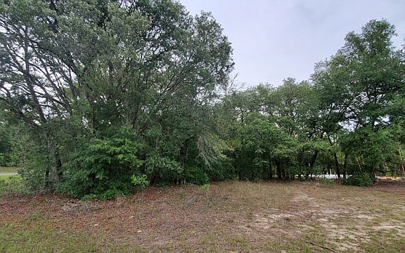 5th image of 575 W Dandee Pl
