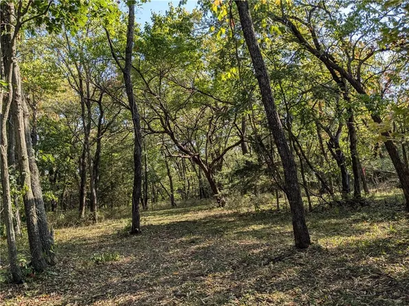 85 & 81 Meadowbrook Dr, Lacygne, KS 66040