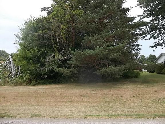4th image of Forest Dr