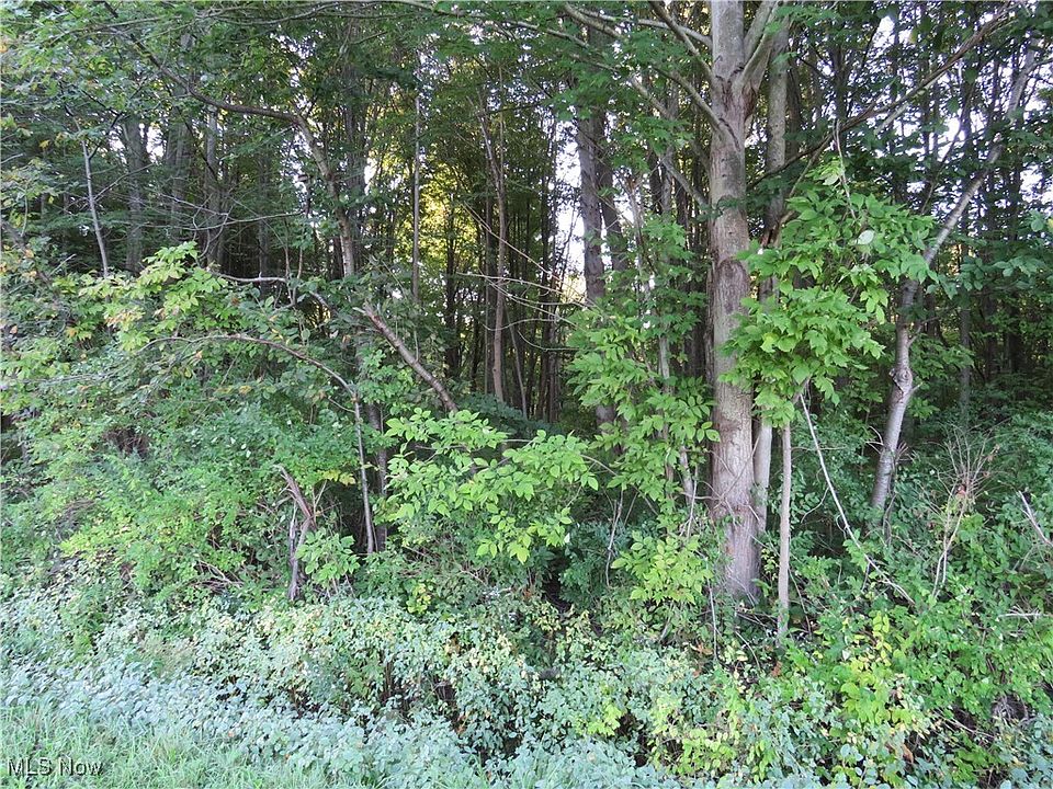 2nd image of Village Grn